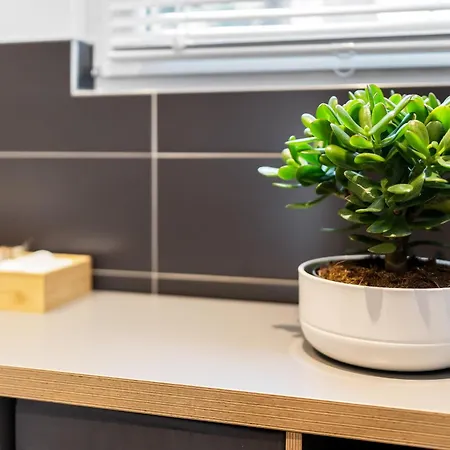 Apartment Modern Right In Trendy Agnesviertel *