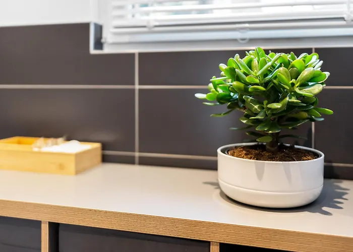 Apartment Modern Right In Trendy Agnesviertel *